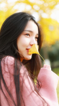 91破解版安装步骤示意图